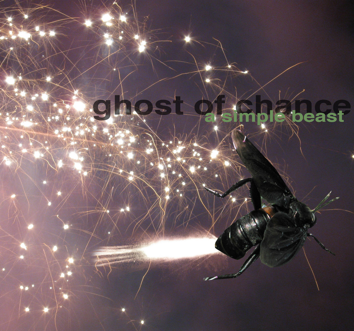a simple beast album cover